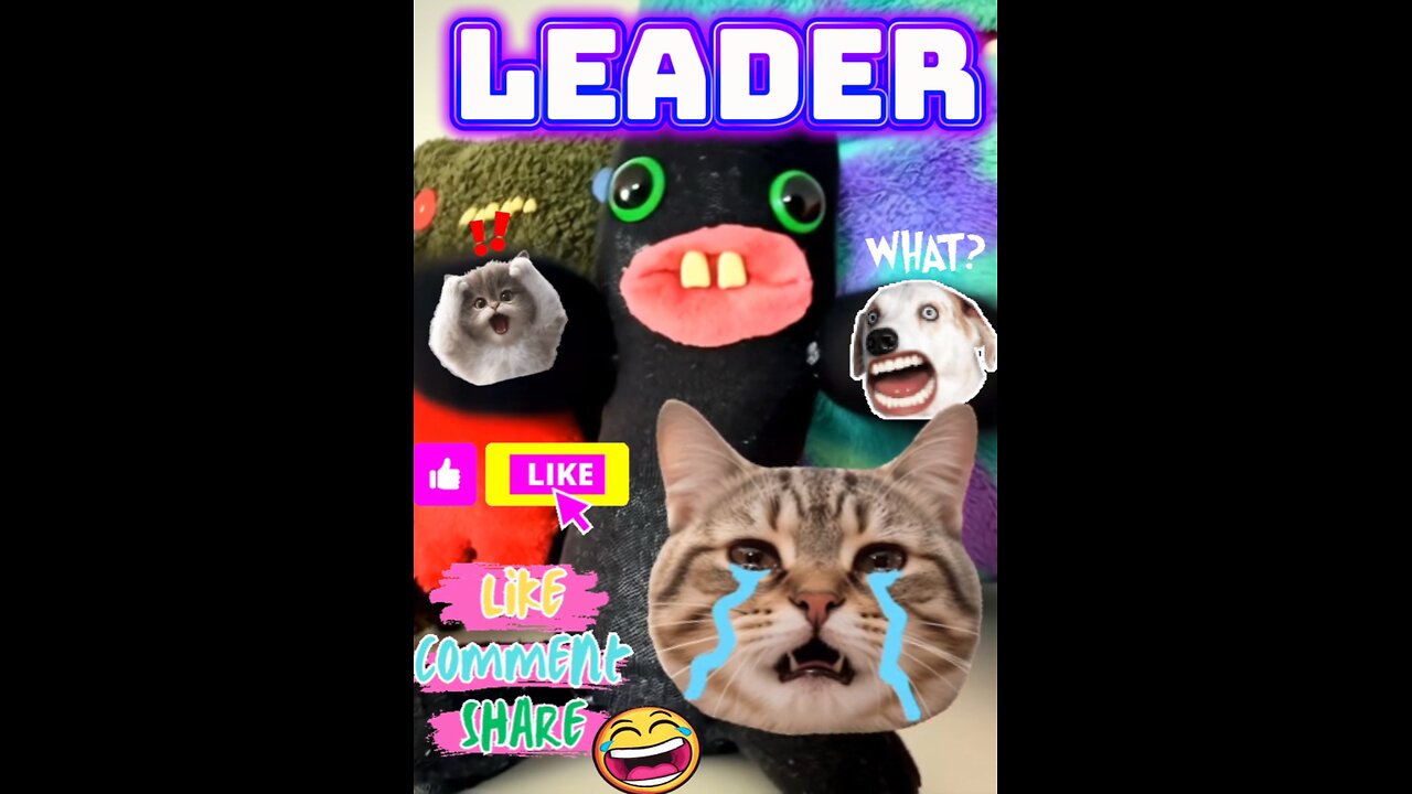 The Leader😎
