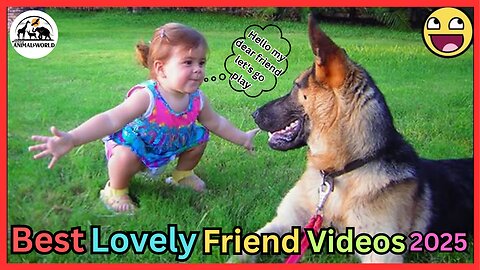 Best Lovely Friend Videos of 2025 – Dogs & Cats That Will Make You Laugh