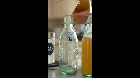 i turned into a cat and became the cat king. #cat #kombucha #feline #catsoftiktok #catlover #cats