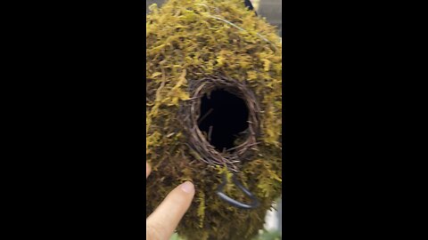 What is this?