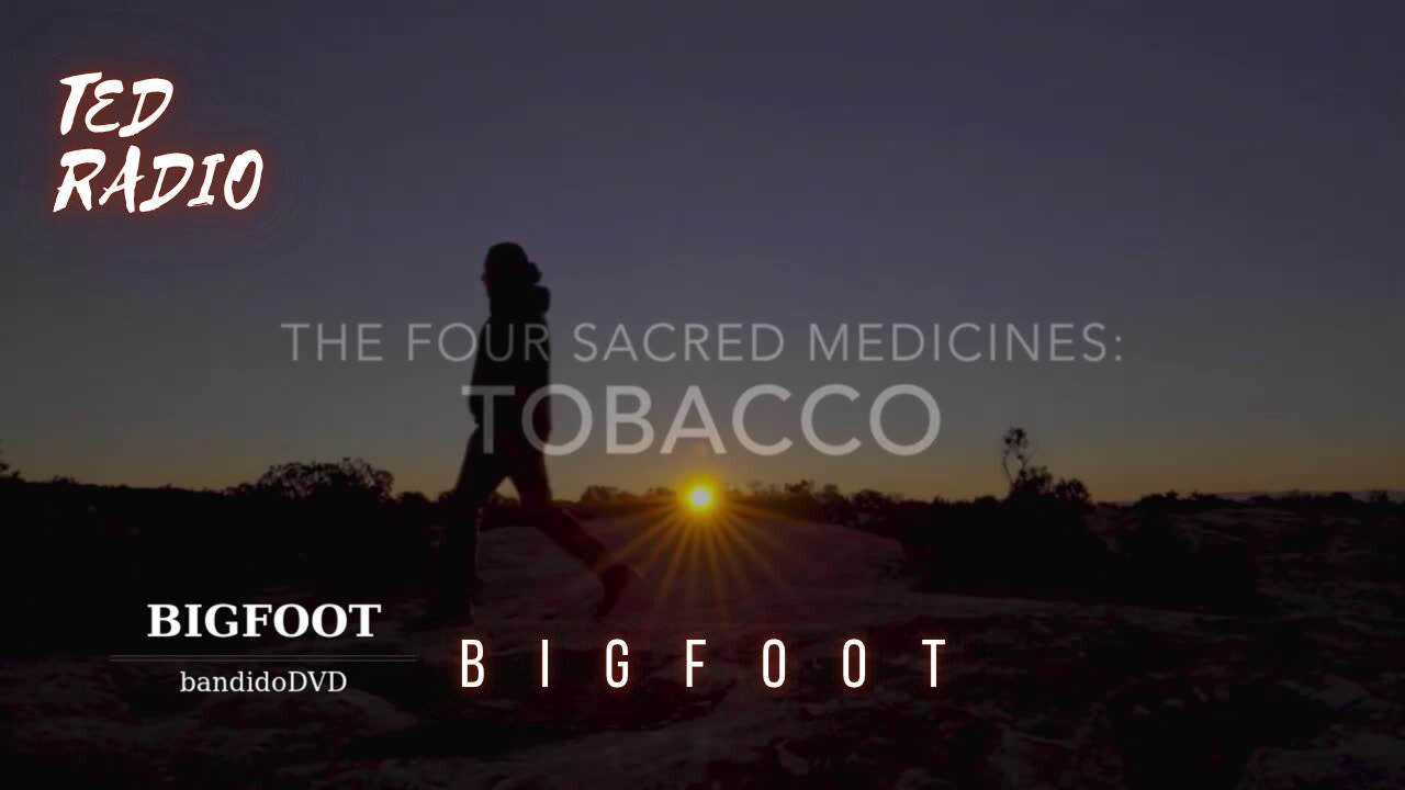 Bigfoot