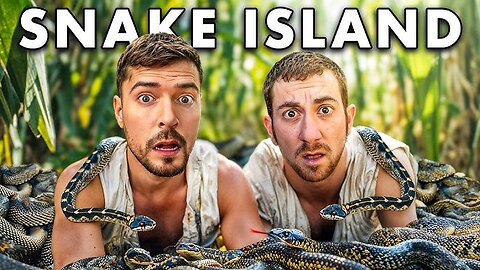24 Hours in the Wild! 🌲🔥 | Extreme Survival Challenge by .MrBeast Style. And with me beast