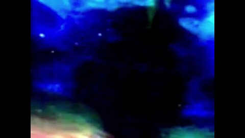 Finding Nemo Whale Darkness
