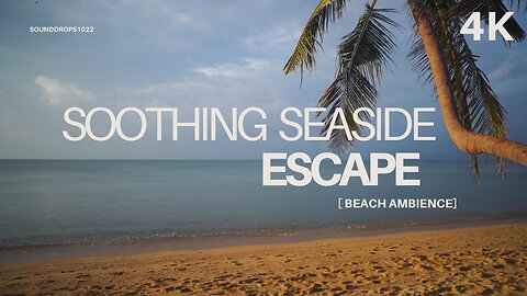 Soothing Seaside Escape – 15 Minutes of Beach Ambience