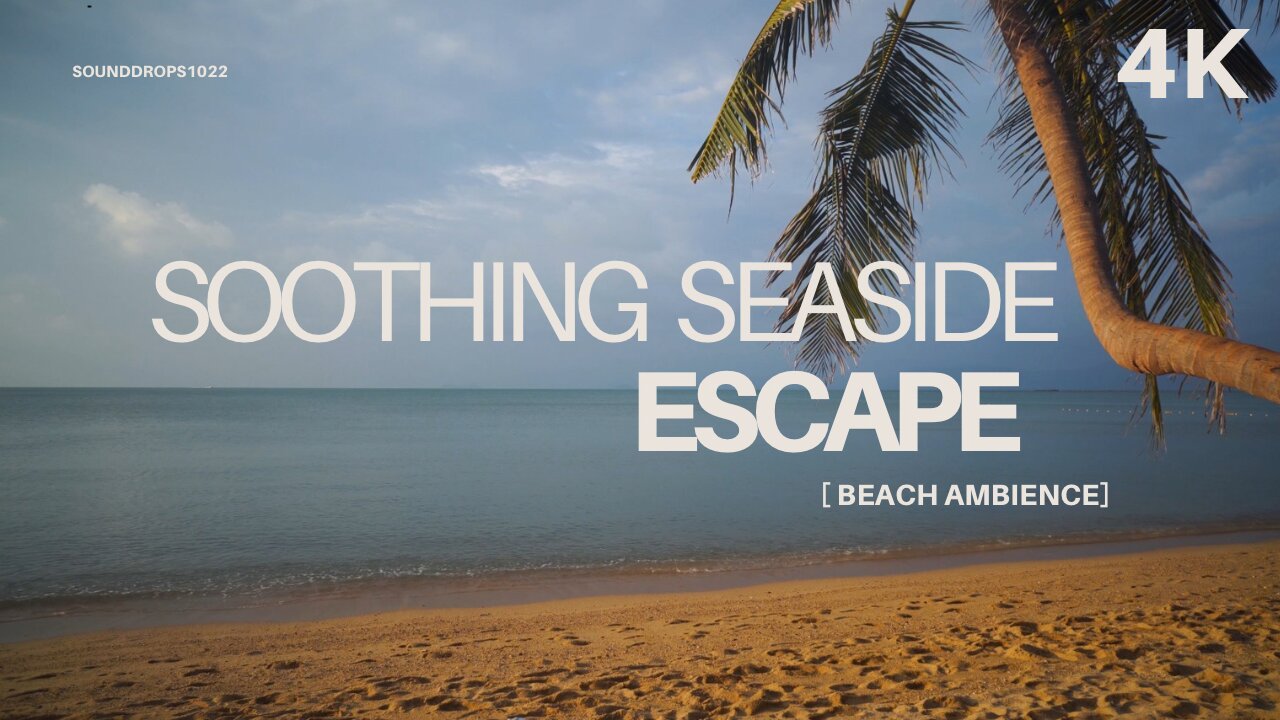 Soothing Seaside Escape – 15 Minutes of Beach Ambience
