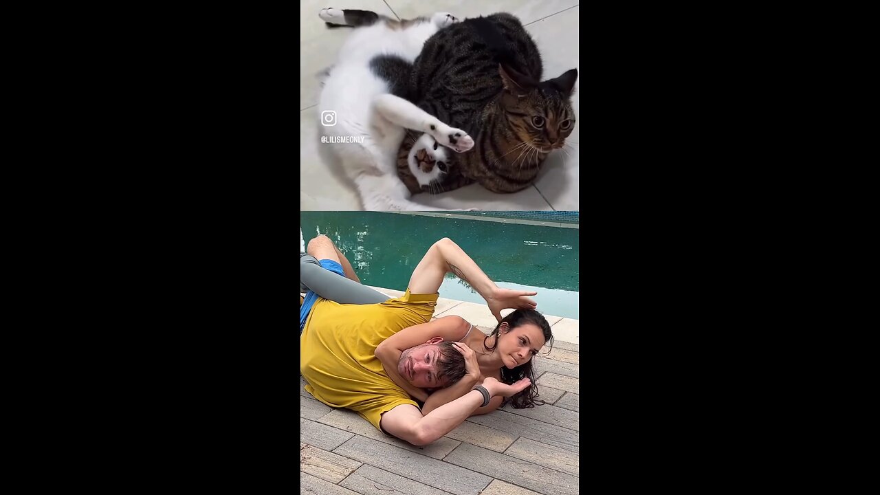 2025 viral video, Animal vs Human