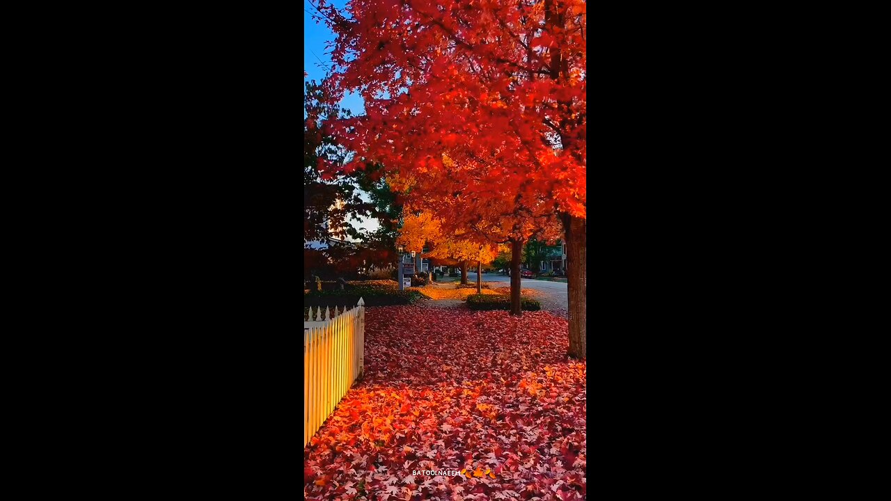 #foryoupage#viralvideo