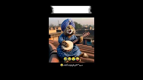 #shorts #cat #catlover #short #youtubeshorts #ytshorts #animals #catvideos #viralshorts