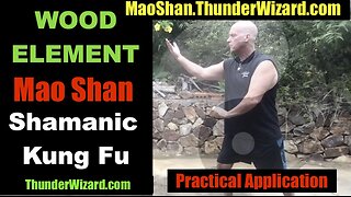 Is Kung Fu As Effective As MMA? Unknown Taoist Martial Art - Very Effective