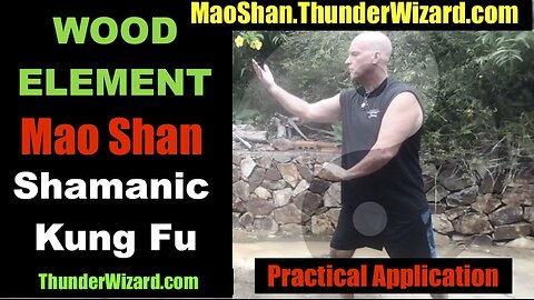 Is Kung Fu As Effective As MMA? Unknown Taoist Martial Art - Very Effective