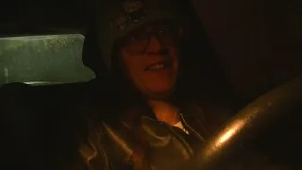 should i just get five more cats