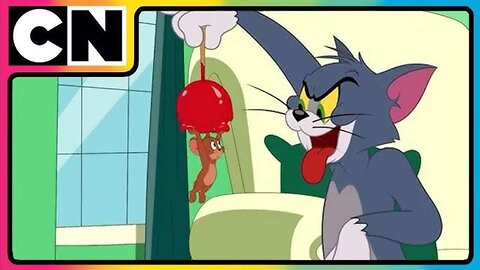 The Meow Mission 🐱🕵️‍♂️ Catch That Mouse!