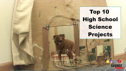 Top 10 High school project