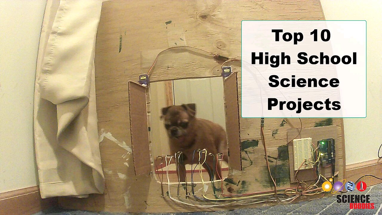 Top 10 High school project