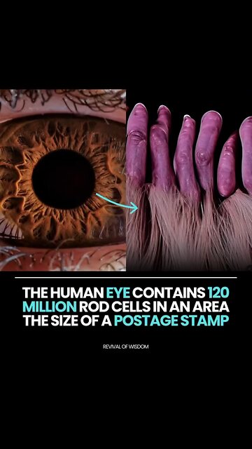 🚨 THE HUMAN BODY IS THE MOST ADVANCED TECHNOLOGY EVER CREATED 🔥👁