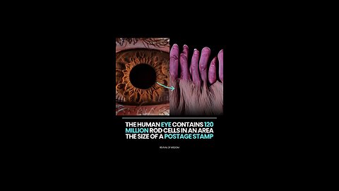🚨 THE HUMAN BODY IS THE MOST ADVANCED TECHNOLOGY EVER CREATED 🔥👁
