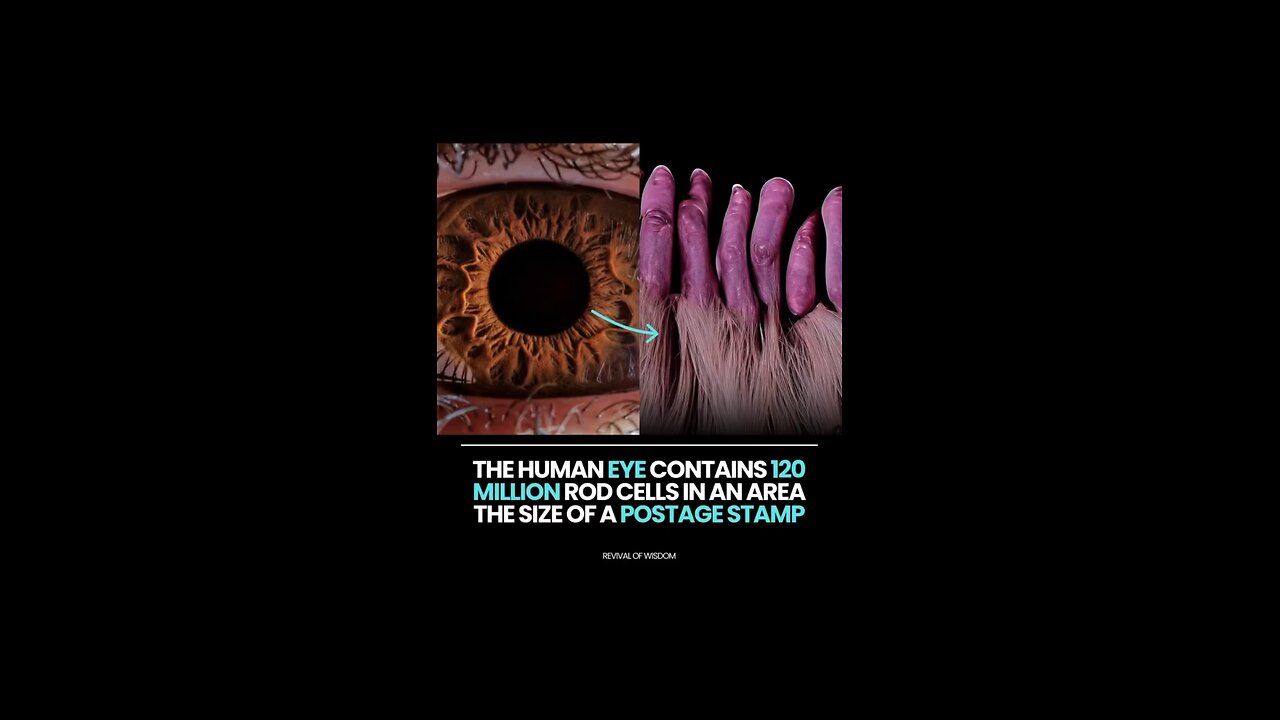 🚨 THE HUMAN BODY IS THE MOST ADVANCED TECHNOLOGY EVER CREATED 🔥👁