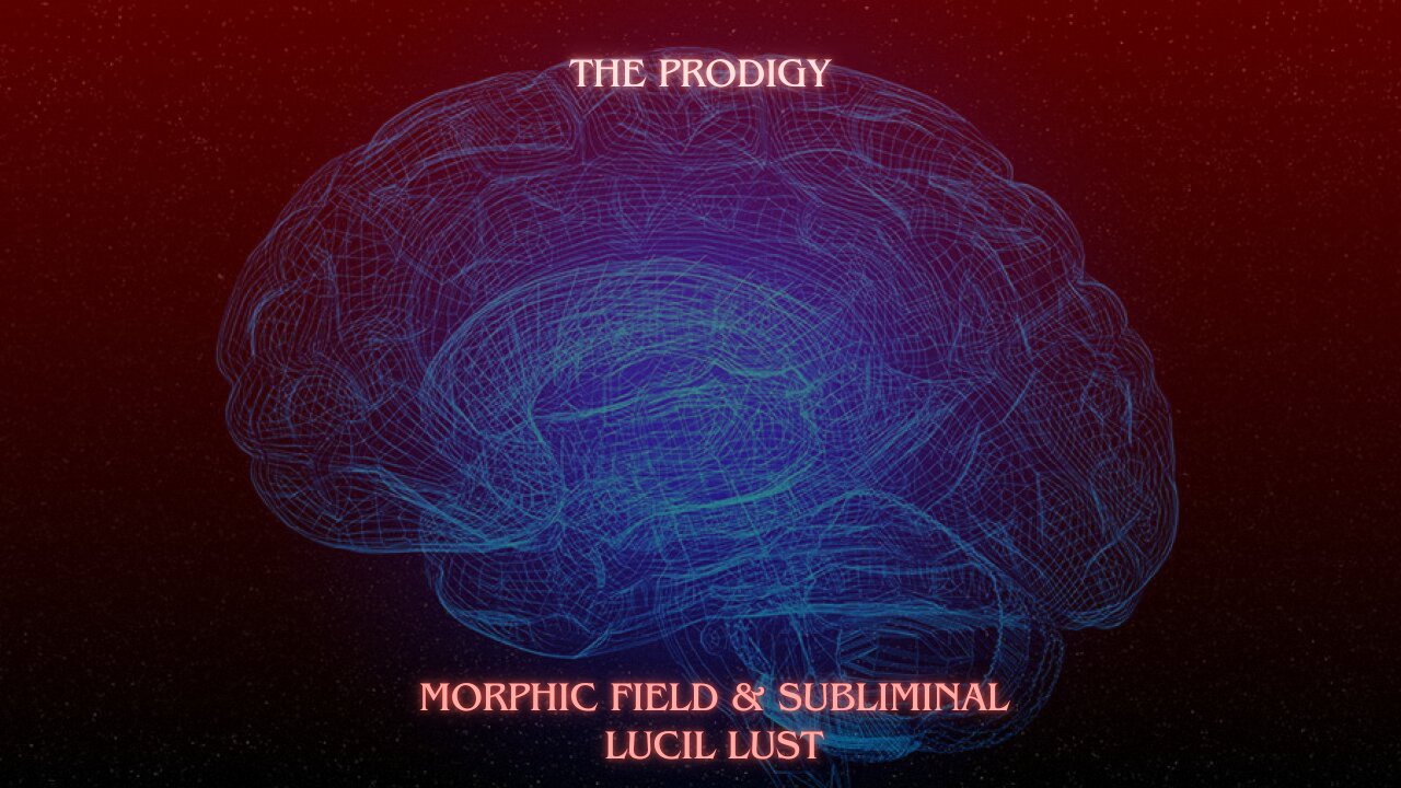 QUANTUM PRODIGY || SUPERIOR SKILL TALENT ABILTY MORPHIC FIELD