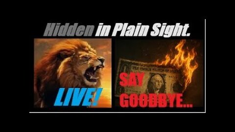 IS THE FED NOT KILLING THE DOLLAR FAST ENOUGH (SAY GOODBYE TO THE DOLLAR). Mannarino