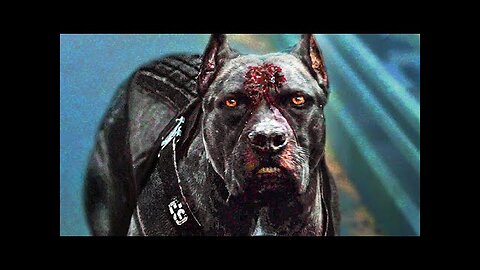 Dog Started to Hunt Humans 💥🤯⁉️⚠️ Movie Explained in Hindi