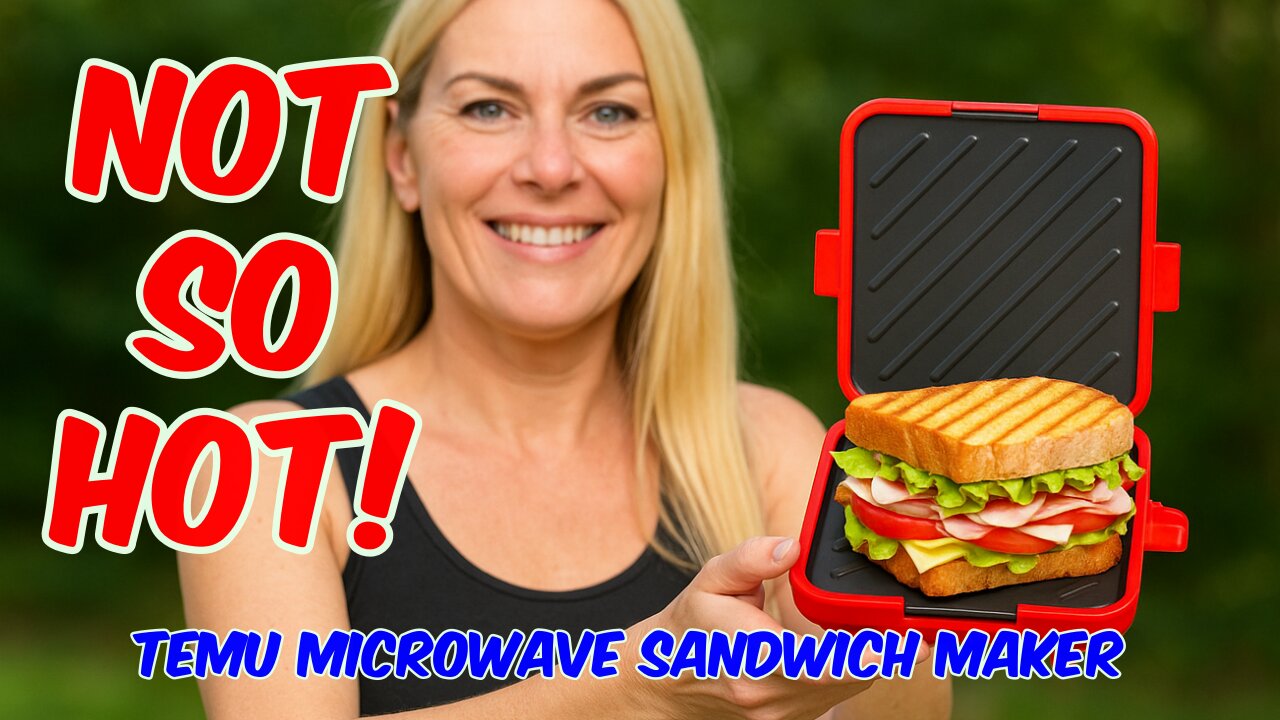 Temu Microwave Sandwich Maker Review