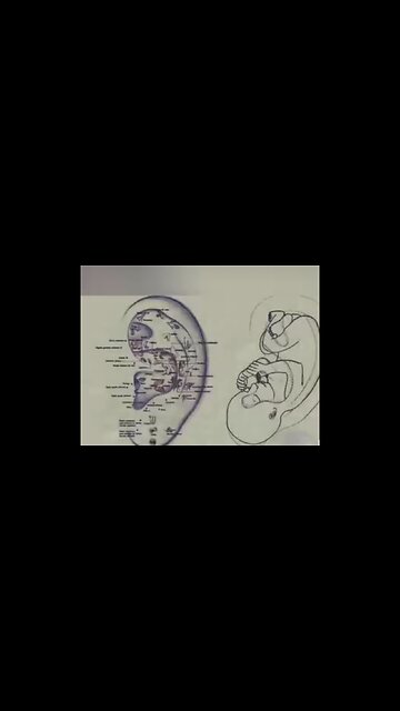 ACTIVATING YOUR INNER WISDOM