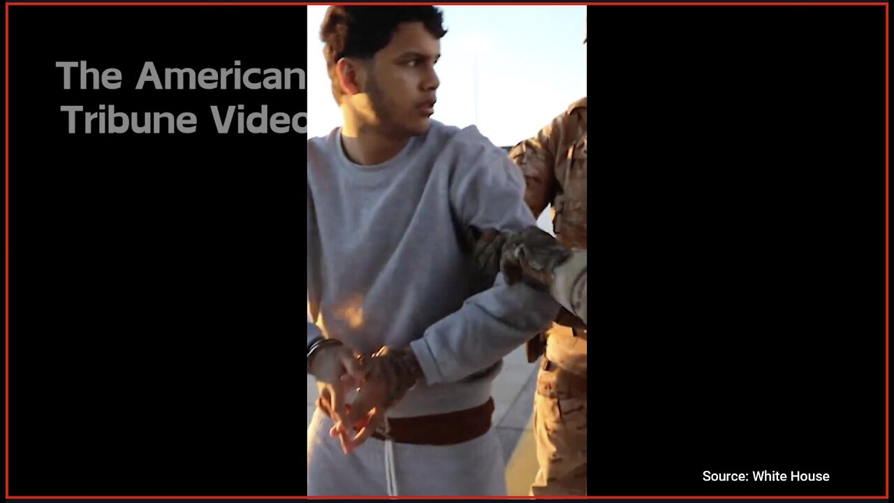 Woke Band Freaks Out after Trump Uses Song in Hilarious Gangster Deportation Video