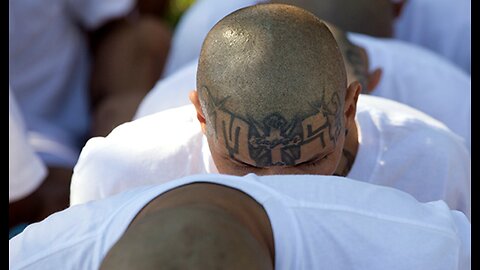 This Is Who They're Trying to Protect. MS-13 Goblin Arrested in Maryland