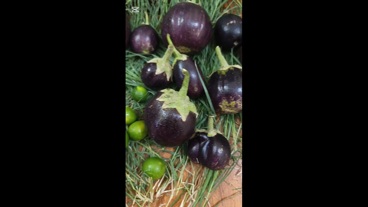 First harvesting of the season