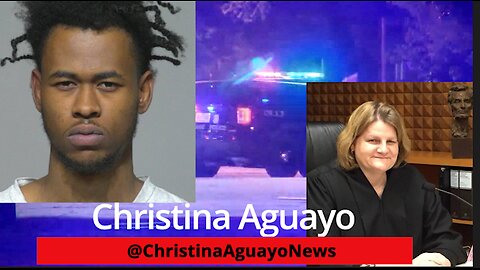 Man Who Allegedly Shot Police Officers Given Deferred Prosecution By Judge Hannah Dugan