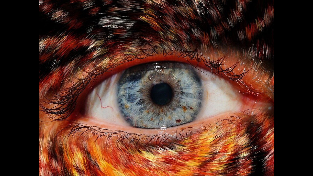 Vampires Werewolves and a Visit