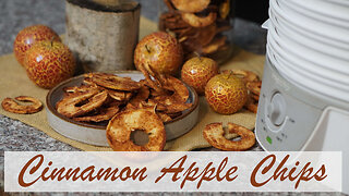 Apple Cinnamon Chips - Quick and Healthy Snacks