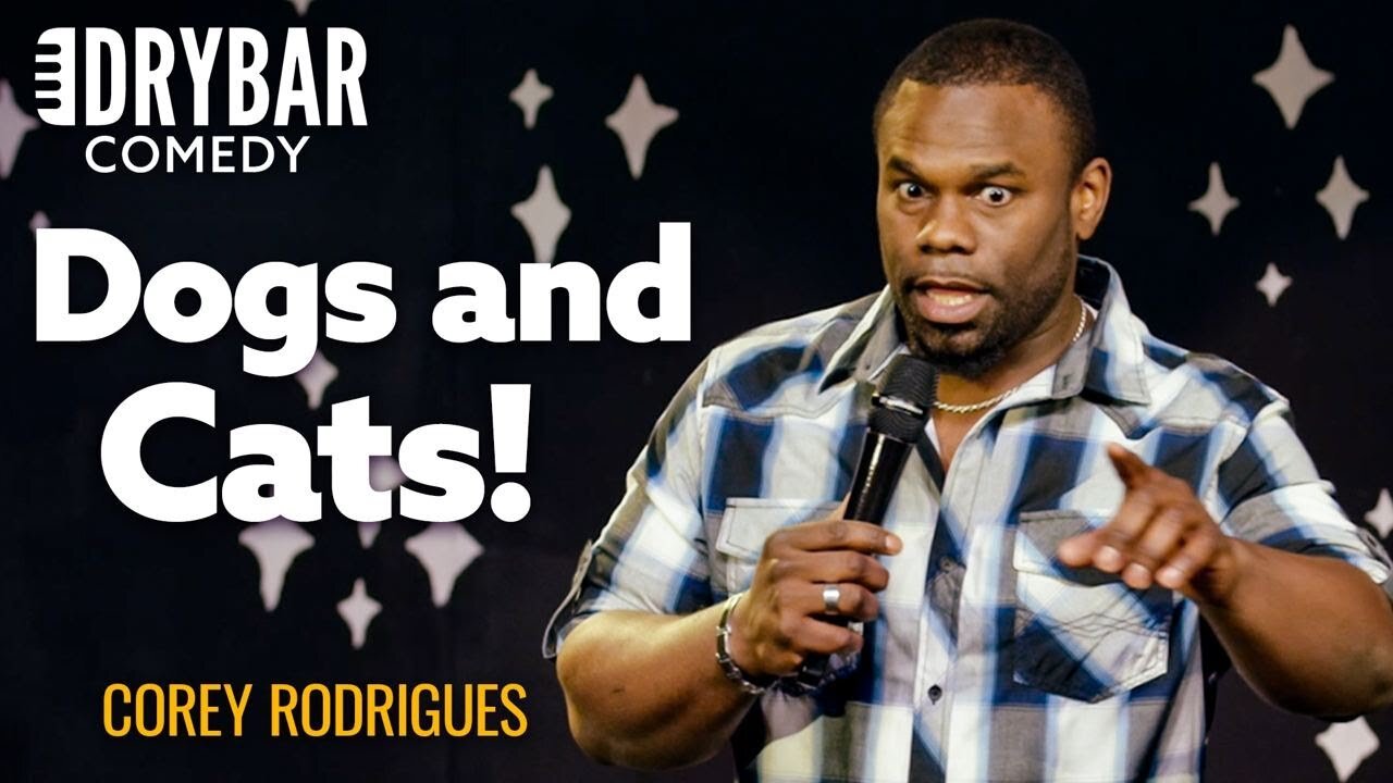 Dogs And Cats - The Difference | Corey Rodrigues