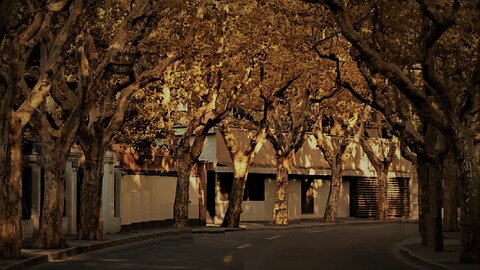 青羊区, 人民西路2号