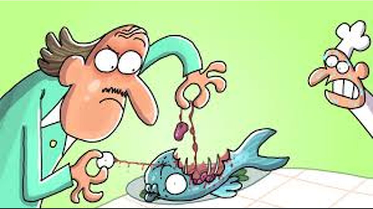Chef Makes A HUGE Mistake During Food Review | Cartoon Box 356 | by Boysm | Hilarious Cartoons