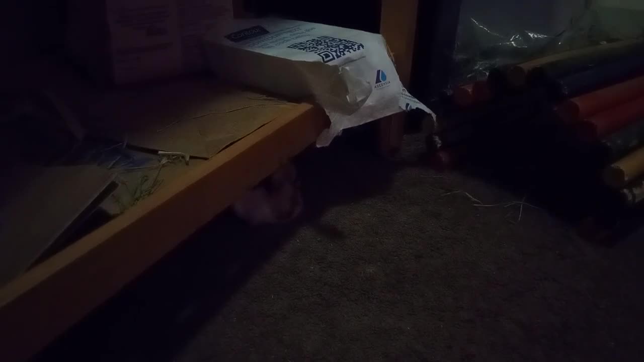 DAVID TAKES A NAP