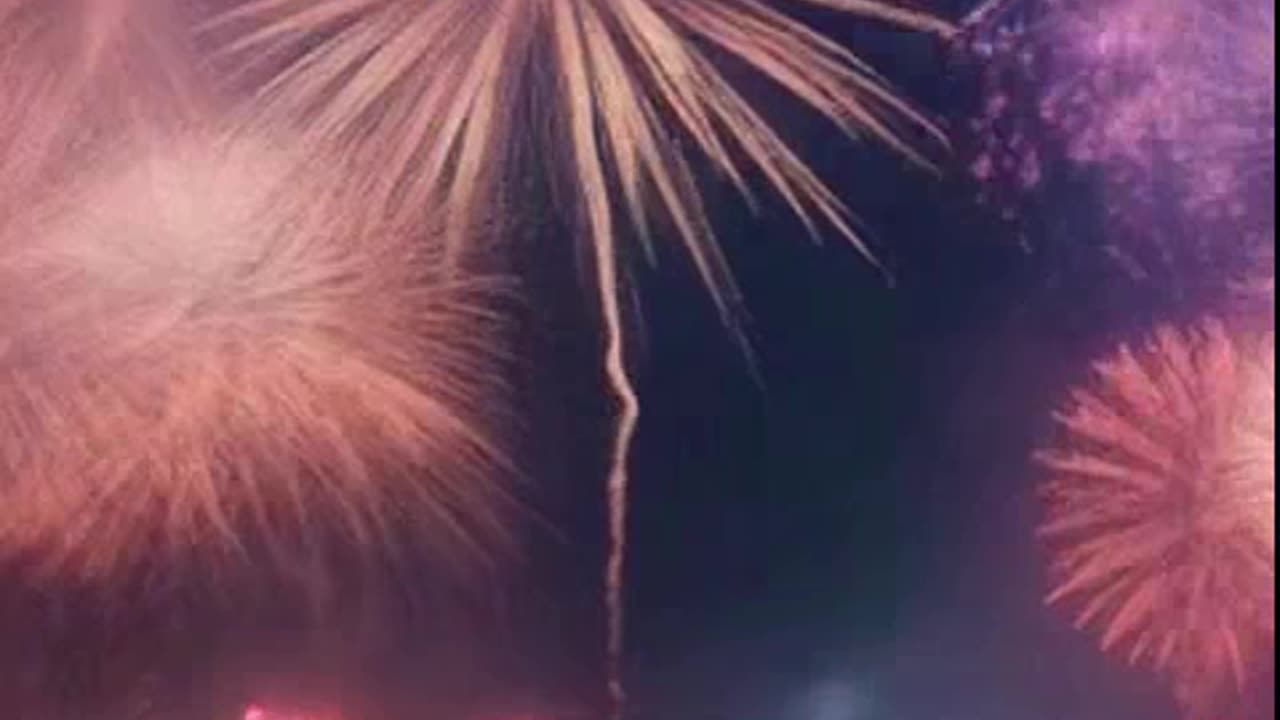 no fundo do mar 2.mp4