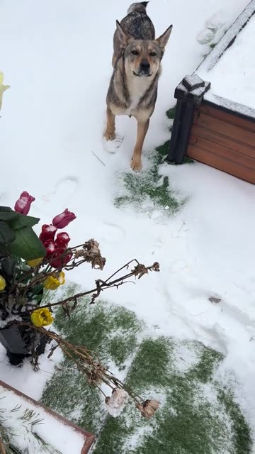 Russian Ukrainian War