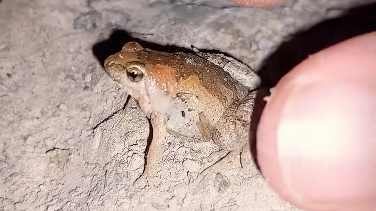 ✨👕 This Is the Best Way to Fold a Towel! | LifeHacksDaily