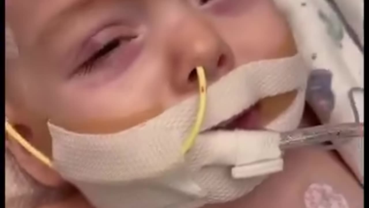 13 napos idővonal a vakcinától..