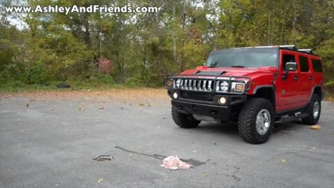 Running Over Chicken with Hummer 1