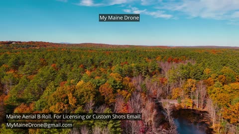 Maine B-Roll (No Sound): Fall Foliage at Lily Pond in New Gloucester, Maine Video 16