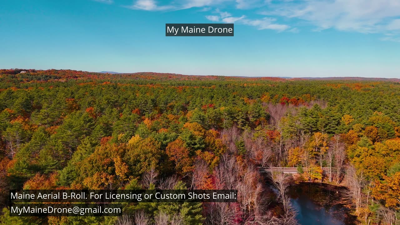 Maine B-Roll (No Sound): Fall Foliage at Lily Pond in New Gloucester, Maine Video 16