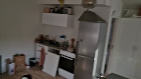 Finishing the cabin🏡