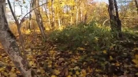 🔫💪 Ukraine Russia War | Ukrainian SOF Unit 'Bat' Suppresses Enemy Positions | RCF