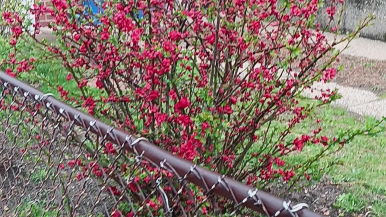 Spring colors
