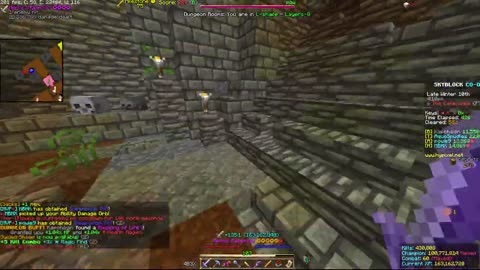 Skyblock FLOOR 7 [#2522]