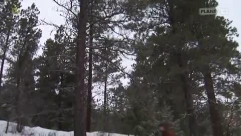 INNOWACJA CZYLI IMITACJA dokument pl