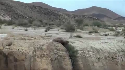 10 Surprise Flash Floods Caught on Video