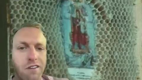 The Wonderful World of Bees and their Beehaviour